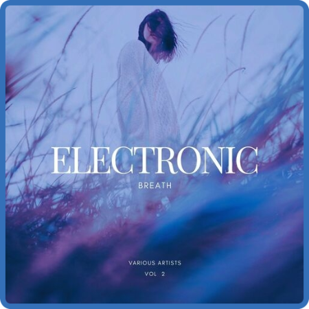 VA - Electronic Breath, Vol  2 (2022) MP3