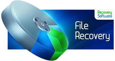 RS File Recovery 6.6 Multilingual