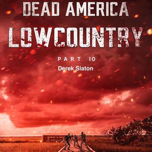 Dead America - Lowcountry Part 10 by Derek Slaton