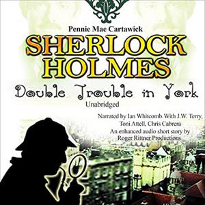 Sherlock Holmes by Pennie Mae Cartawick