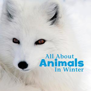 All About Animals in Winter by Martha Rustad