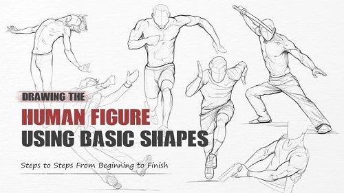 Wingfox – Drawing the Human Figure Using Basic Shapes