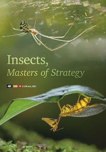 Насекомые — гении стратегии / Insects, Geniuses Strategy (2021) HDTVRip 720p