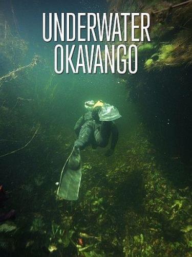 Подводный мир Окаванго / Underwater Okavango (2012) HDTVRip 720p