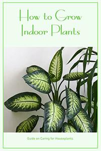 How to Grow Indoor Plants Guide on Caring for Houseplants. Care Instructions for Houseplants