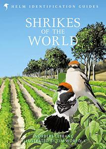 Shrikes of the World (Helm Identification Guides)
