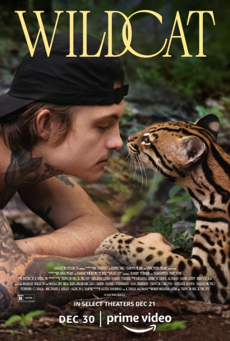 Wildcat 2022 720p WEBRip x264-GalaxyRG