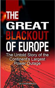 The Great Blackout of Europe  The Untold Story of the Continent's Largest Power Outage