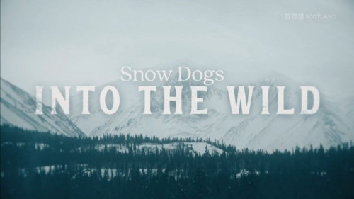BBC - Snow Dogs Into the Wild (2022)