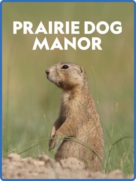 Prairie Dog Manor 2019 720p 10bit WEBRip x265-Budgetbits