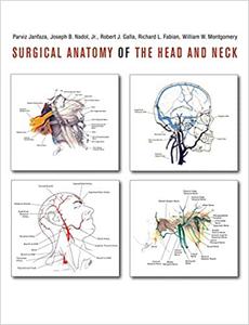 Surgical Anatomy of the Head and Neck 