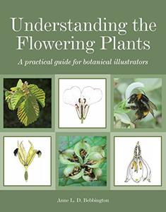 Understanding the Flowering Plants A Practical Guide for Botanical Illustrators 
