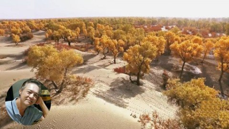 A Single Window To Personality, Emotion, Physiology A Single Window To Personality, Emotion, Physiology