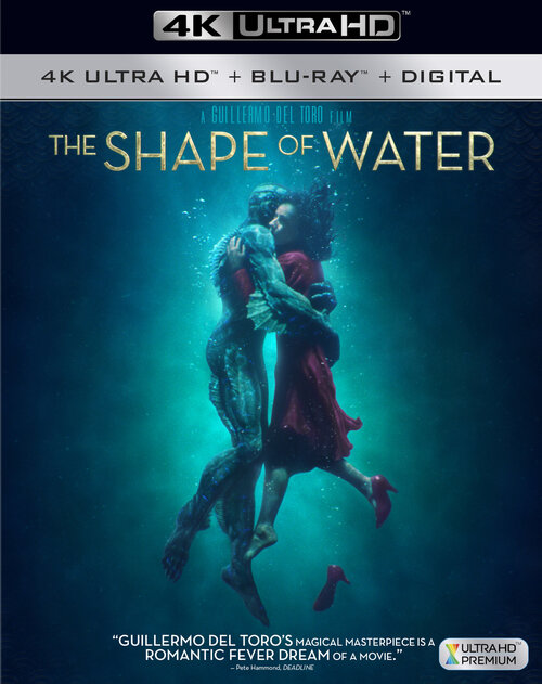 Kształt wody / The Shape of Water (2017) MULTi.2160p.UHD.Blu-ray.HEVC.DTS-HD.MA.5.1-COASTER  ~ Lektor i Napisy PL