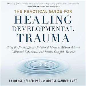 The Practical Guide for Healing Developmental Trauma Using the NeuroAffective Relational Model to Address Adverse [Audiobook]
