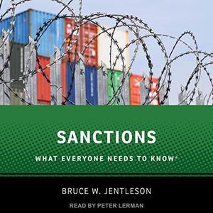 Sanctions What Everyone Needs to Know [Audiobook]