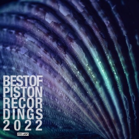 VA - Best Of Piston Recordings 2022 (2022)