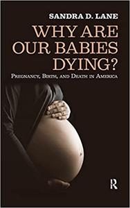 Why Are Our Babies Dying Pregnancy, Birth, and Death in America