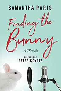 Finding the Bunny The secrets of America's most influential and invisible art revealed through the struggles of one wom