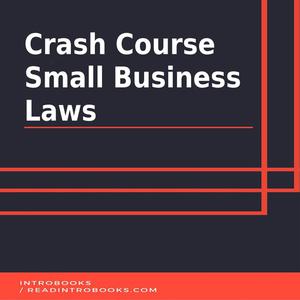 Crash Course Small Business Lawsby Introbooks Team