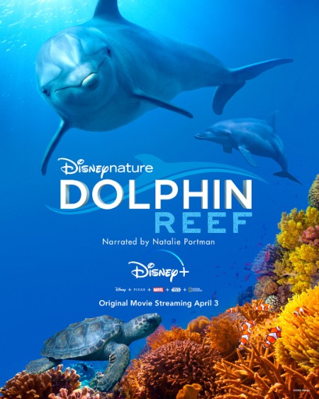 Dolphin Reef 2020 1080p BluRay x265-RARBG