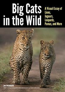 Big Cats in The Wild A Visual Essay of Lions, Jaguars, Leopards, Pumas, and More 