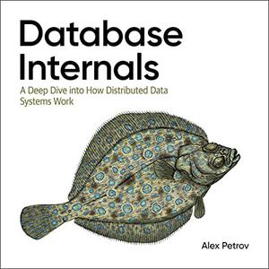 Database Internals A Deep Dive into How Distributed Data Systems Work, 1st Edition [Audiobook]