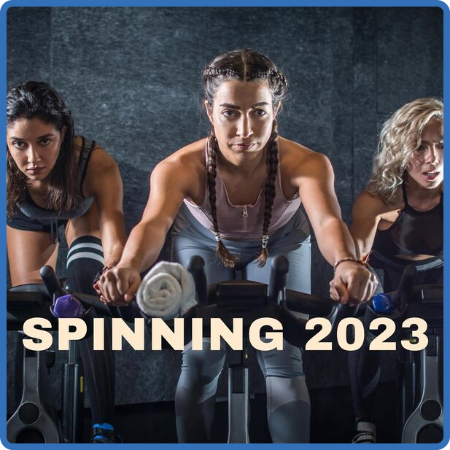 V A  - Spinning 2023 (2022 Dance)