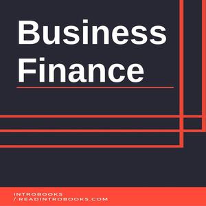 Business Finance by Introbooks Team
