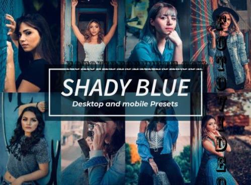 8 Shady Blue Lightroom Presets