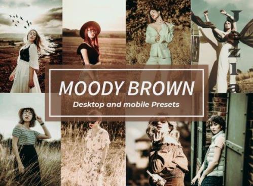 8 Moody Brown Lightroom Presets