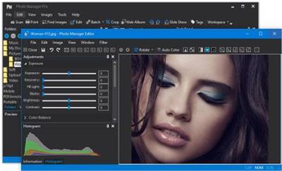 Proxima Photo Manager Pro 4.0 Release 7 Multilingual (x64) 