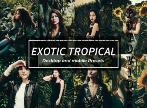 8 Exotic Tropical Lightroom Presets