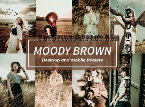 8 Moody Brown Lightroom Presets