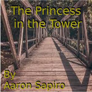 The Princess in the Tower by Aaron Sapiro