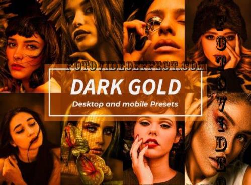 12 Dark Gold Lightroom Presets