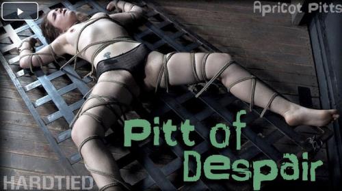 Pitt of Despair...