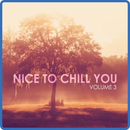 VA - Nice To Chill You, Vol  3 (2023)