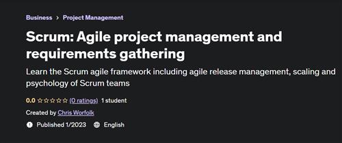 Scrum Agile project management and requirements gathering