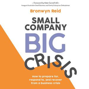  Small Company Big Crisis by Bronwyn Reid