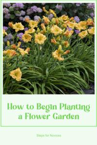 How to Begin Planting a Flower Garden Steps for Novices To Begin a Flower Garden, Follow These Steps