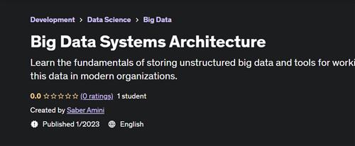 Big Data Systems Architecture