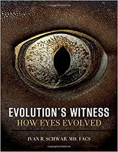 Evolution's Witness How eyes evolved 
