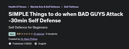 SIMPLE Things to do when BAD GUYS Attack -30min Self Defense