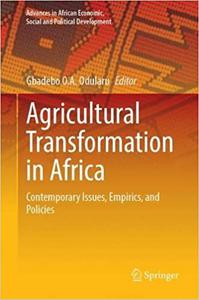 Agricultural Transformation in Africa Contemporary Issues, Empirics, and Policies