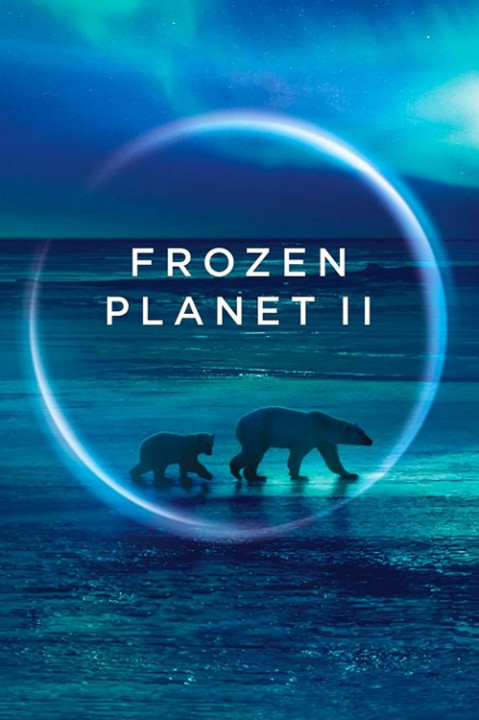 Mroźna planeta 2 / Frozen Planet II (2022) [SEZON 1] PL.1080i.HDTV.H264-B89 | POLSKI LEKTOR