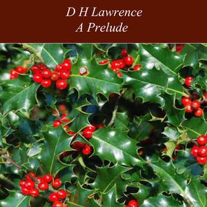 A Prelude by David Herbert Lawrence