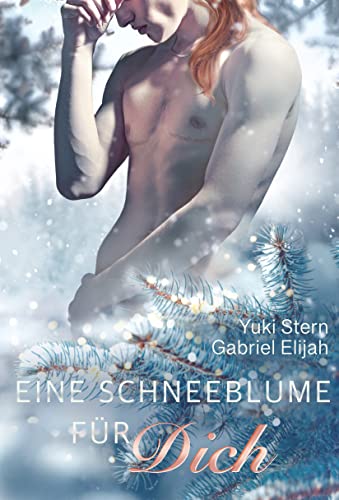 Cover: Stern, Yuki & Elijah, Gabriel  -  Eine Schneeblume für dich