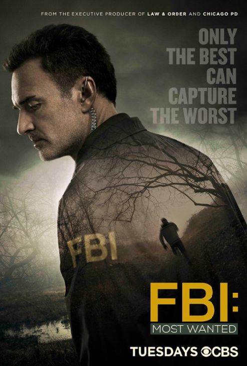 FBI: Ścigani / FBI: Most Wanted (2020-2022) [SEZON 1-3 ] MULTi.1080p.WEB-DL.DD5.1.x264-OzW / Lektor PL | Napisy PL