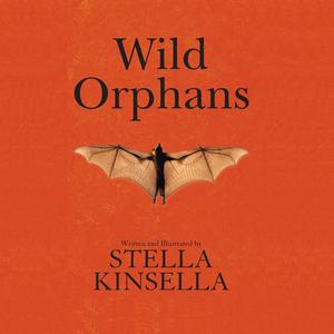 Wild Orphans by Stella Kinsella